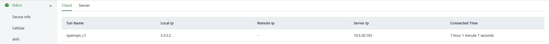 OpenVPN client status