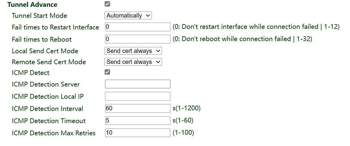 IPsec tunnel advanced options