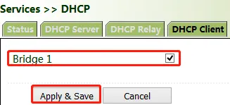 DHCP Client Configuration